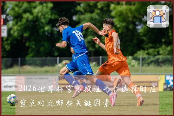 2026世界杯官方投注平台选择时应重点对比哪些关键因素